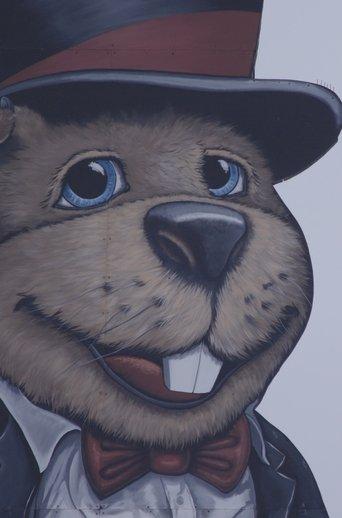 Groundhog Town film afişi