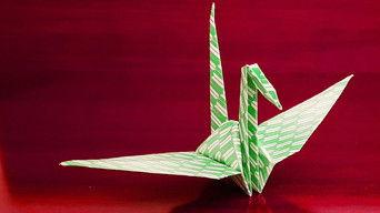 Japan: Seeing Things You Wouldn't Believe