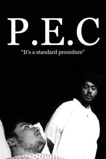 P.E.C film afişi