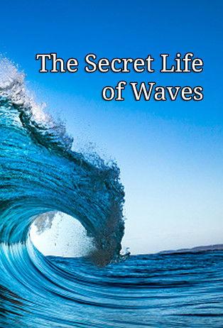 The Secret Life of Waves film afişi