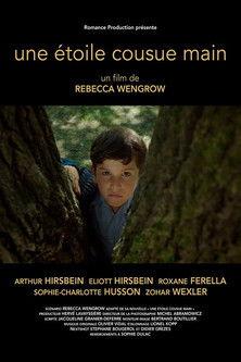 A Hand Sewn Star film afişi