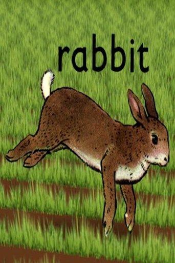 Rabbit film afişi