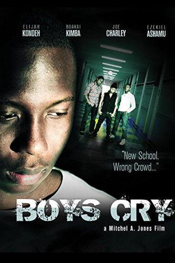 Boys Cry film afişi