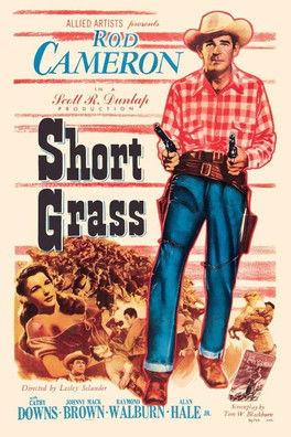 Short Grass film afişi