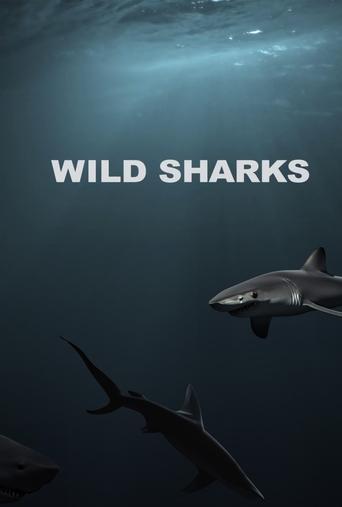Wild Sharks film afişi