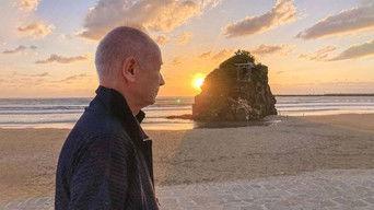 IZUMO: Glimpses of the Unseen