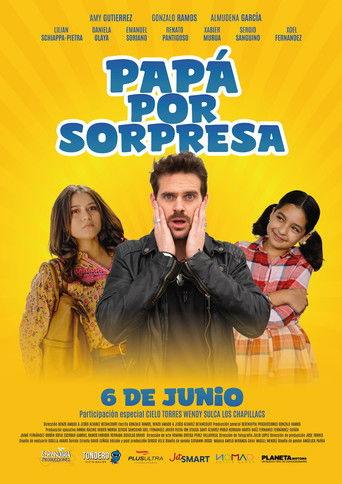 Papá por sorpresa film afişi