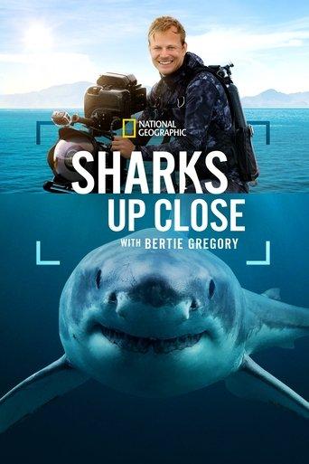 Sharks Up Close with Bertie Gregory film afişi