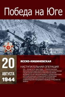 Victory in the South film afişi