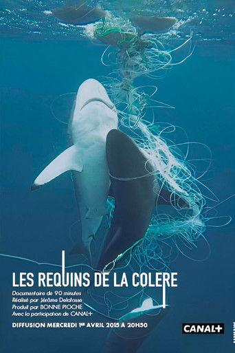 Les Requins de la Colère film afişi