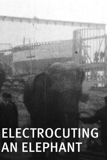 Electrocuting an Elephant film afişi