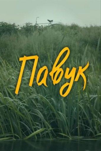 DZIDZIO: The Spider film afişi