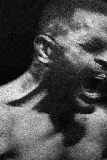 Karel vs. Karlos dizi afişi