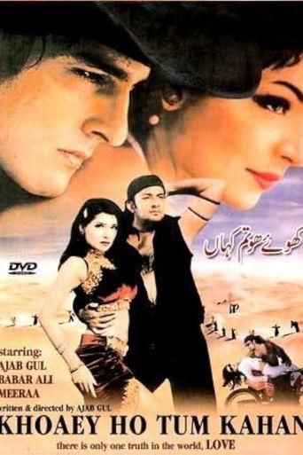 Khoey Ho Tum Kahan film afişi
