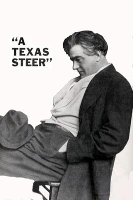 A Texas Steer film afişi