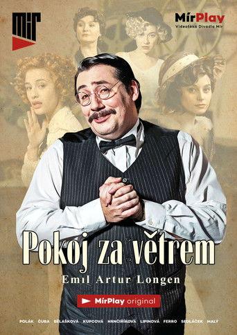Pokoj za větrem film afişi
