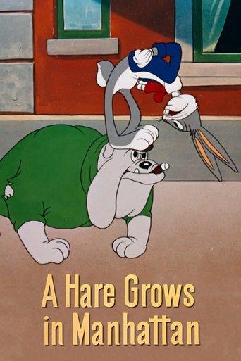 A Hare Grows in Manhattan film afişi