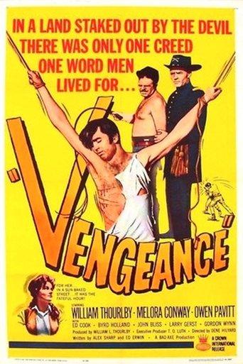Vengeance film afişi