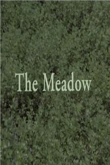 The Meadow film afişi