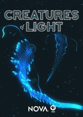 Creatures of Light film afişi