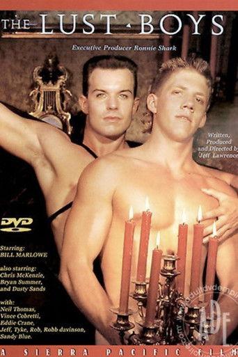 The Lust Boys film afişi