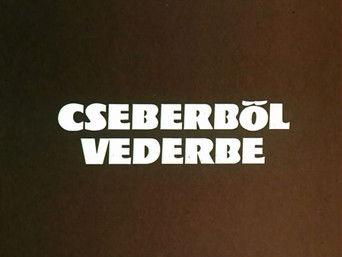 From one bucket into another