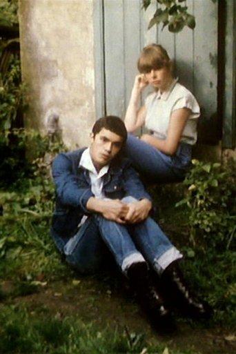 Gombrowicz: Incidents, Adventures film afişi