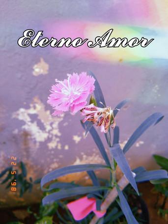 Eterno Amor ❤ film afişi