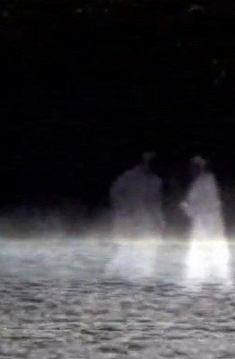 Les Heures d'argent, des illuminations film afişi