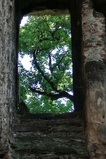The Ruins of Seyssuel's Castle film afişi