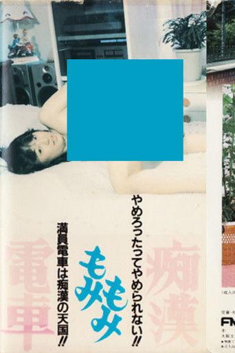 Molester Groping Train film afişi