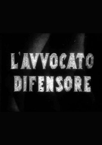 L'avvocato difensore film afişi