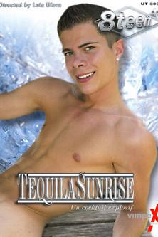 Tequila Sunrise film afişi