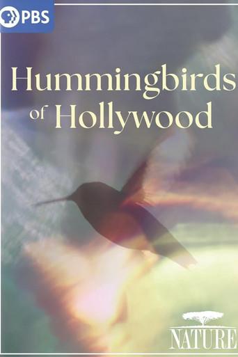 Hummingbirds of Hollywood film afişi