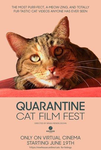 Quarantine Cat Film Festival film afişi