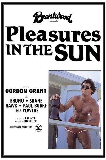 Pleasures In the Sun film afişi