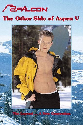 The Other Side of Aspen V film afişi