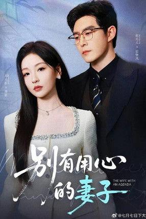 别有用心的妻子 dizi afişi