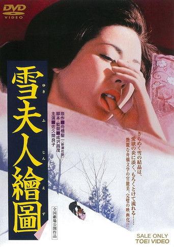 雪夫人繪圖 film afişi