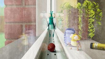 Double Glazed and Confused