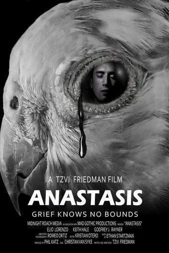 Anastasis film afişi