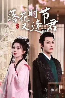 落花时节又逢君 dizi afişi