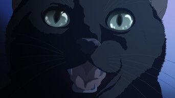 The Wicker Basket That Must Not Be Opened