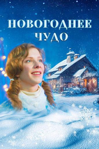 Новогоднее чудо film afişi