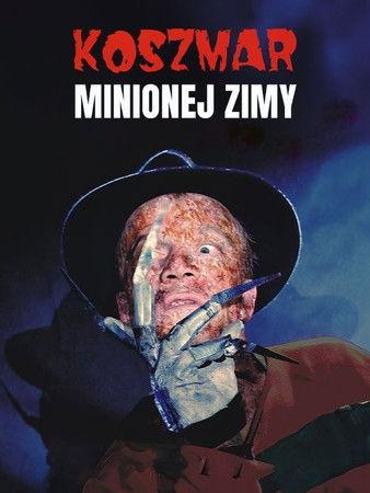Koszmar minionej zimy film afişi