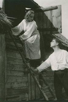 Minlotsen film afişi