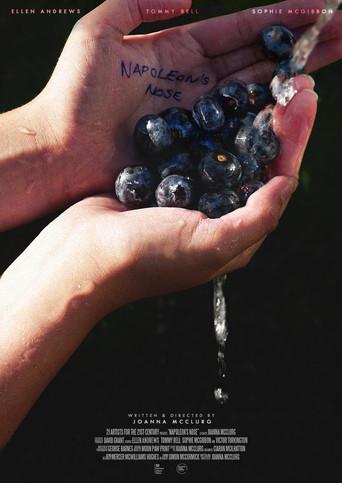 Napoleon's Nose film afişi