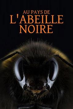 Au pays de l'abeille noire film afişi