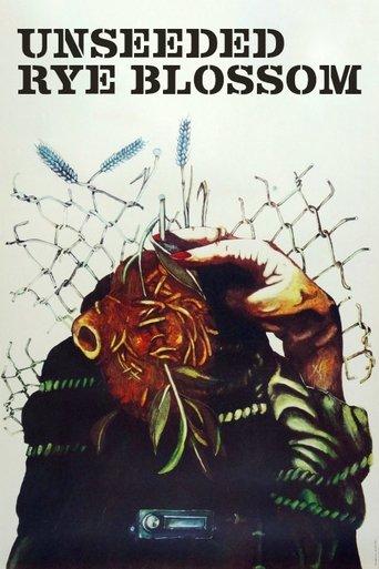 Unseeded Rye Blossom film afişi