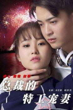 总裁的特工宠妻 film afişi